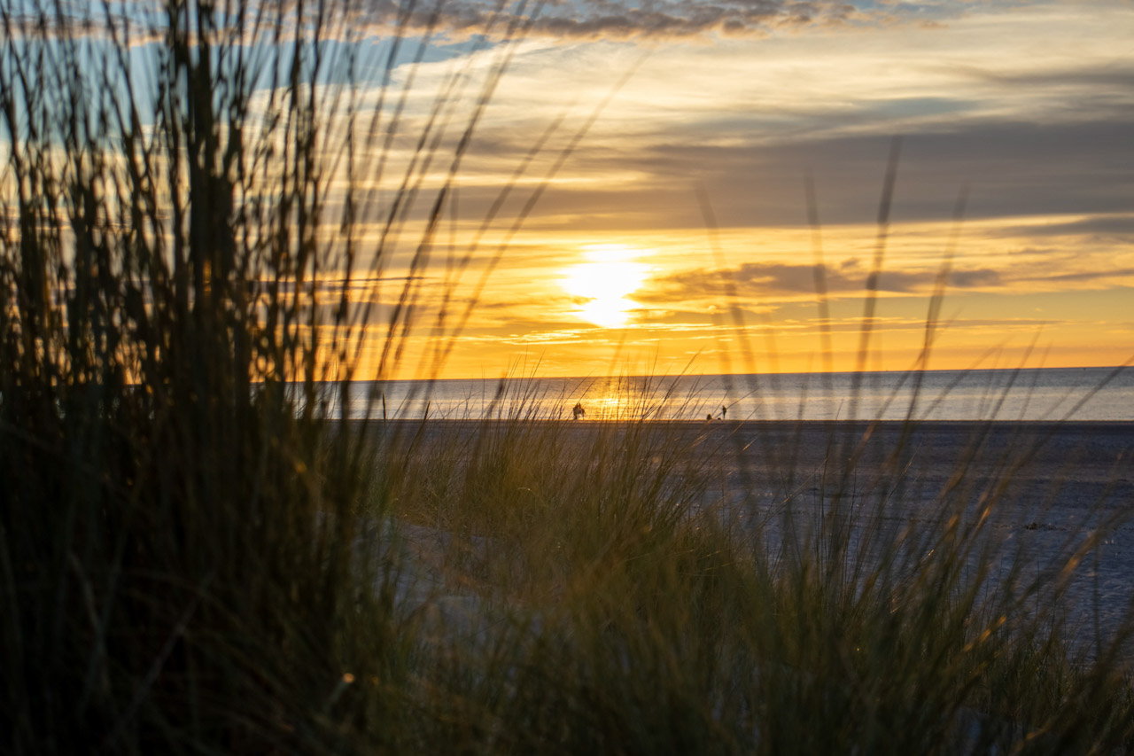 20220823-IMG_2098-HDR